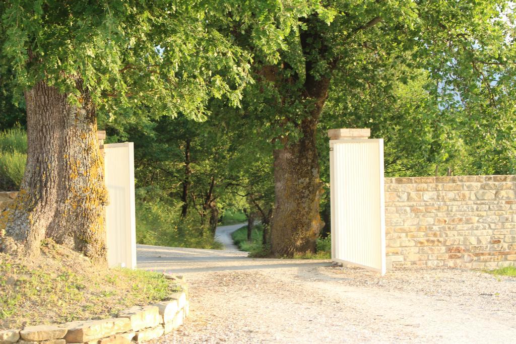 Amico Country House Serra San Quirico Eksteriør bilde
