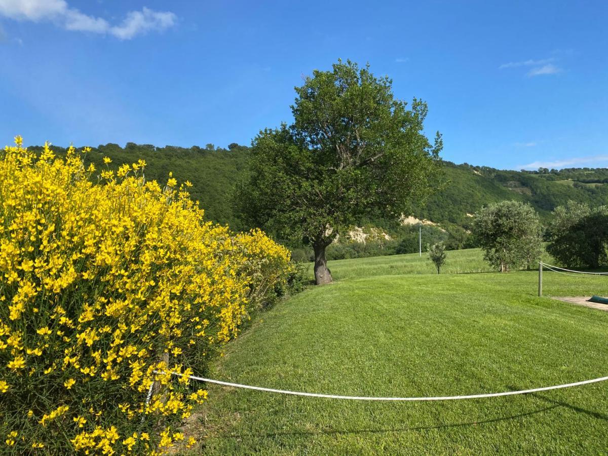 Amico Country House Serra San Quirico Eksteriør bilde